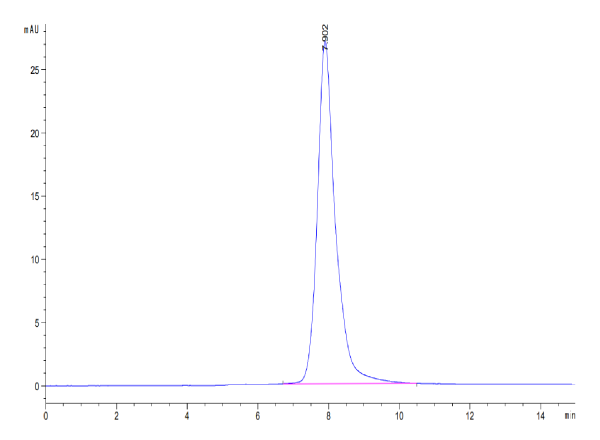 Human CD300LF Protein