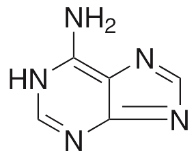 Adenine