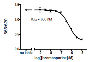 TAF1L (BD1+BD2) TR-FRET Assay Kit