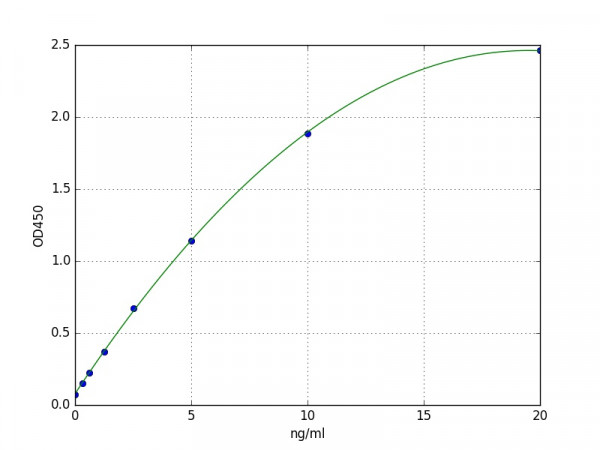 Mouse TERT / Telomerase Reverse Transcriptase ELISA Kit