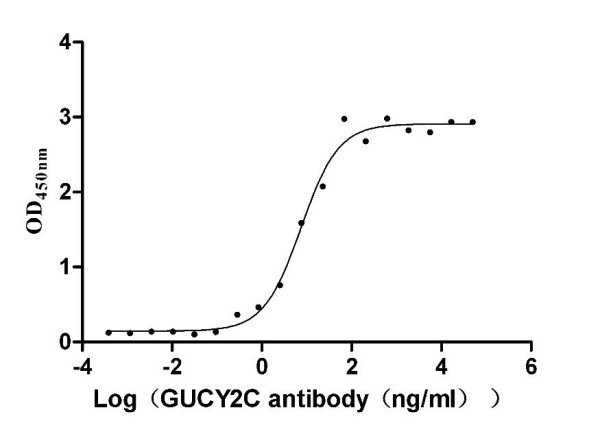 Anti-GUCY2C Recombinant Monoclonal, clone 2E5