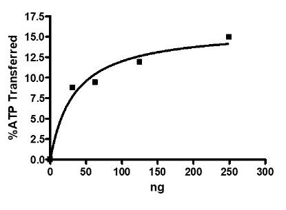 DRAK2, GST-Tag (Human)