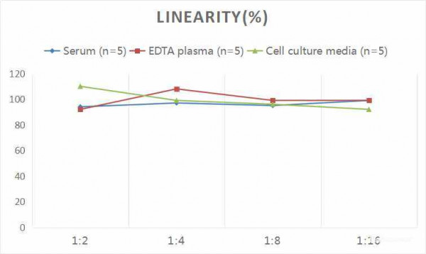 Rat ApoB (Apolipoprotein B) CLIA Kit