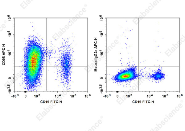 Anti-CD95/Fas, clone HFE7A/APO, APC conjugated