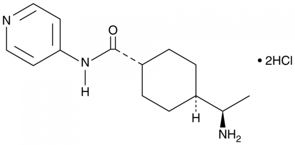 Y-27632 (hydrochloride)