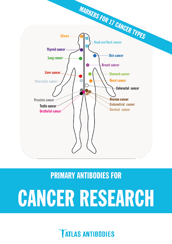 Atlas Antibodies Catalogs Resources Biomol GmbH Life Science Shop