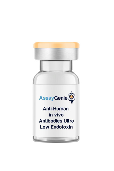 Anti-Human HLA A2,B7 (MHC Class I) In Vivo Antibody - Ultra Low Endotoxin