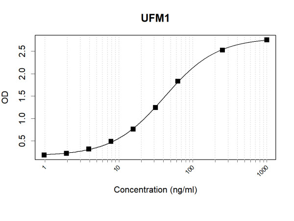 Anti-Human UFM1 Antibody Pair