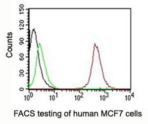 Anti-CD63 PE Conjugate, clone NKI/C3