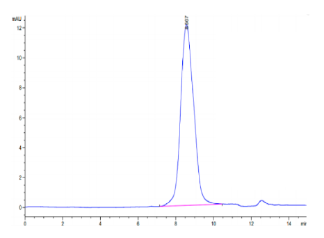 Notch 3 hFc Chimera, Human