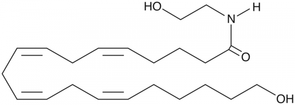 20-HETE Ethanolamide