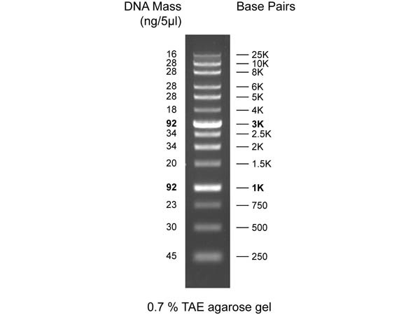 Diamond DNA Ladder 250-25kbp