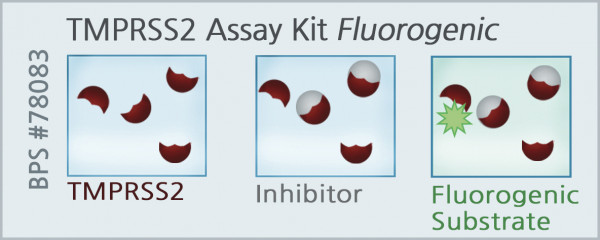 TMPRSS2 Fluorescent Assay Kit