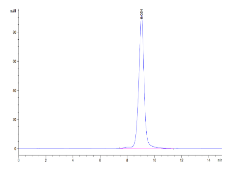 c-MPL/Thrombopoietin R, His, Mouse