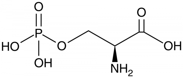 O-Phospho-L-Serine