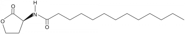 N-tridecanoyl-L-Homoserine lactone