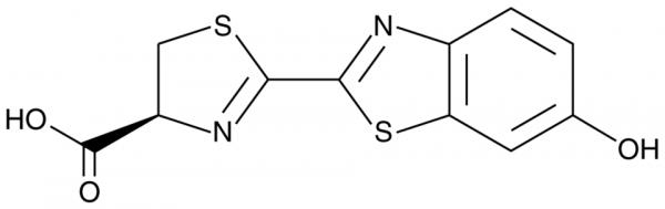 D-Luciferin