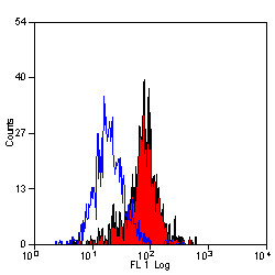 Anti-CD204 / MSR1 (Biotin), clone 2F8