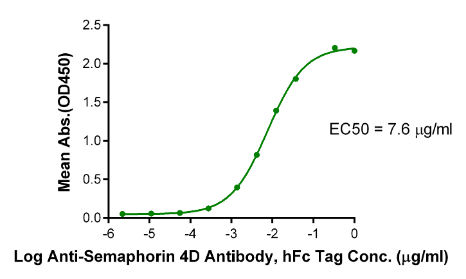 Semaphorin 4D/SEMA4D/CD100, His &amp; Avi, Human