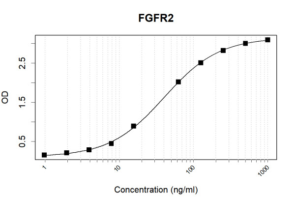 Anti-Human FGFR2 Antibody Pair