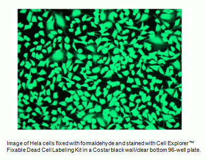 Live or Dead(TM) Fixable Dead Cell Staining Kit *Green Fluorescence with 405 nm Excitation*