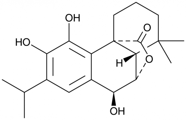 Rosmanol