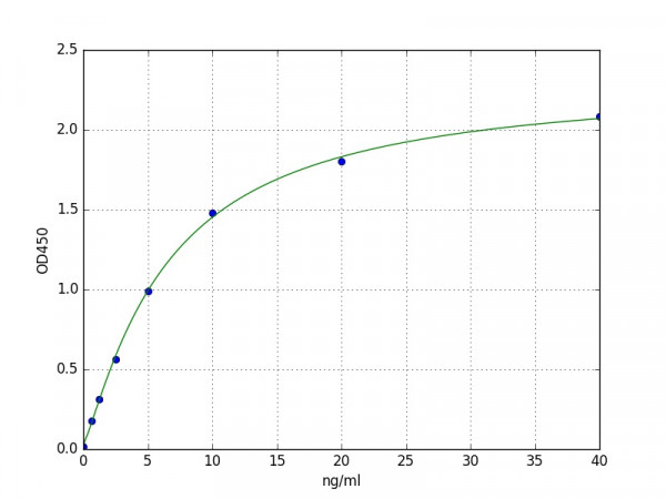 Human LGR4 / Leucine-rich repeat-containing G-protein coupled receptor 4 ELISA Kit
