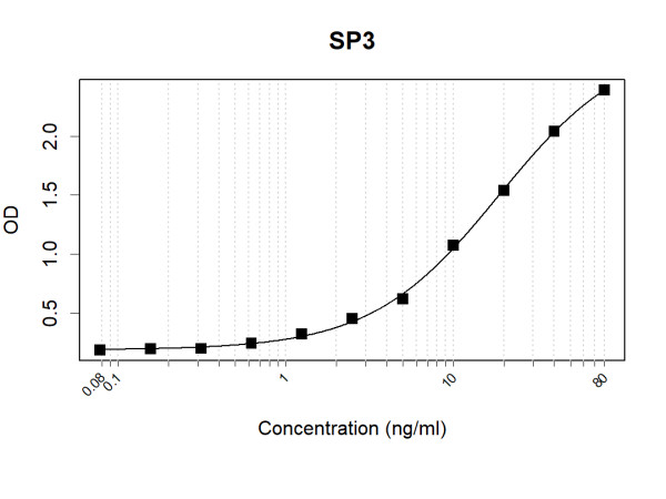 Anti-Human SP3 Antibody Pair