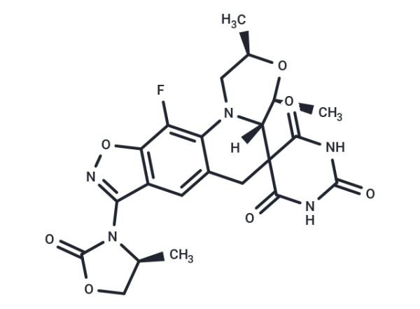 Zoliflodacin