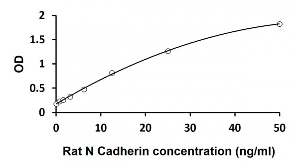 Rat N Cadherin ELISA Kit