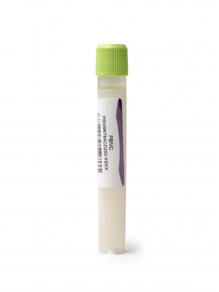 Frozen human peripheral blood mononuclear cells (PBMC) from leukopak fraction in acid citrate dextro