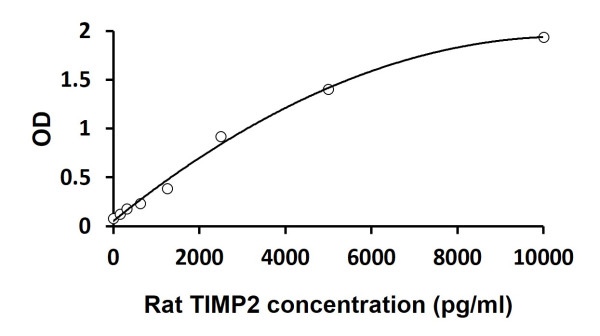 Rat TIMP2 ELISA Kit