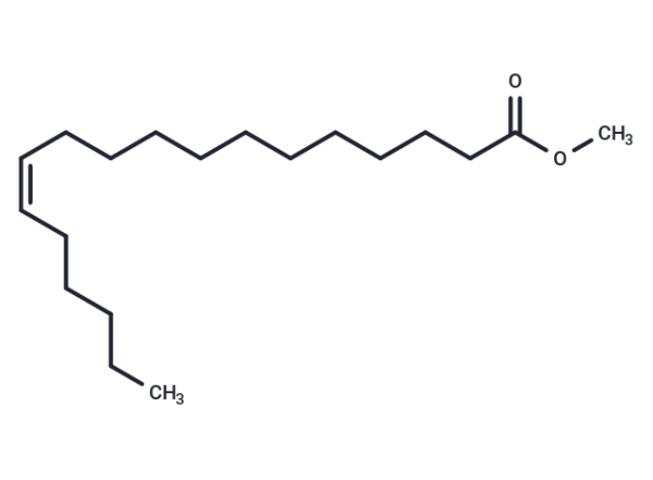 12(Z)-Octadecenoic Acid methyl ester