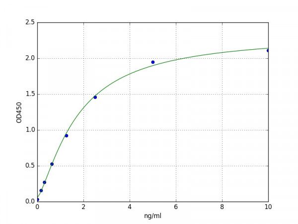 Porcine PEDF / Pigment Epithelium Derived Factor ELISA Kit