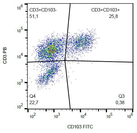Anti-CD103 / Integrin alpha E, clone Ber-ACT8 (FITC)