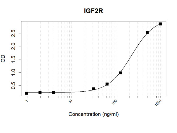 Anti-Human IGF2R Antibody Pair