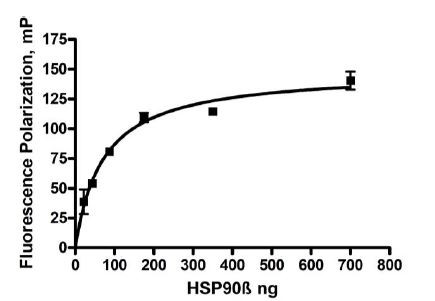 Hsp90b, active human recombinant protein