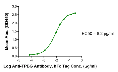 TPBG/5T4[Biotin], His &amp; Avi, Human