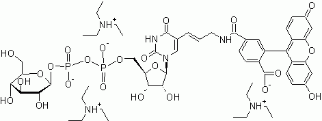 Glucose-UDP-Fluorescein Conjugate