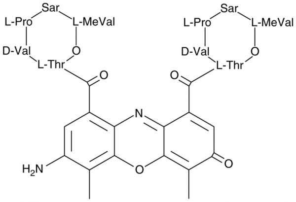 7-Aminoactinomycin D