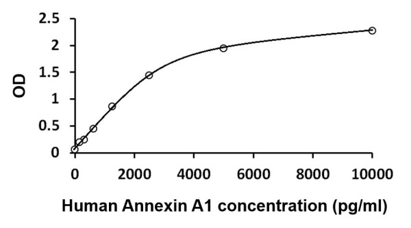 Human Annexin A1 ELISA Kit