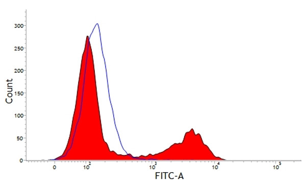 Anti-CD21 (FITC), clone CC51