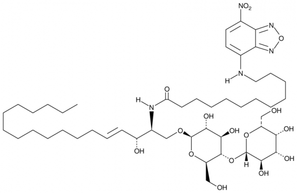 C12 NBD Lactosylceramide (d18:1/12:0)