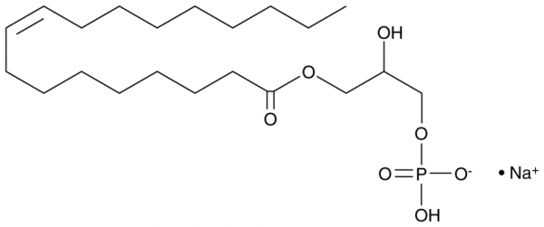 1-Oleoyl-2-hydroxy-sn-glycero-3-PA (sodium salt)