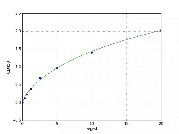 Human SELENBP1 / Selenium Binding Protein 1 ELISA Kit