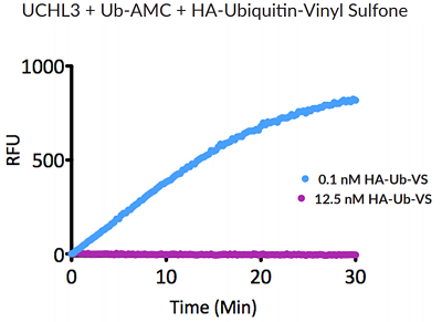HA-Ubiquitin-vinyl sulfone (human) (rec.) (HA)