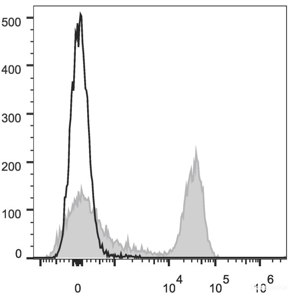 Anti-Rat CD3 (APC Conjugated)[G4.18], clone G4.18