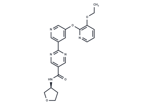 Ervogastat