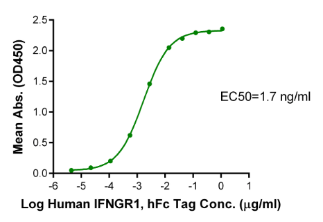 IFN gamma/IFNG[Biotin], His &amp; Avi, Human