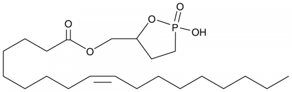 Oleoyl 3-carbacyclic Phosphatidic Acid